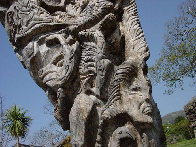 Ficus