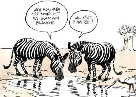 zebre